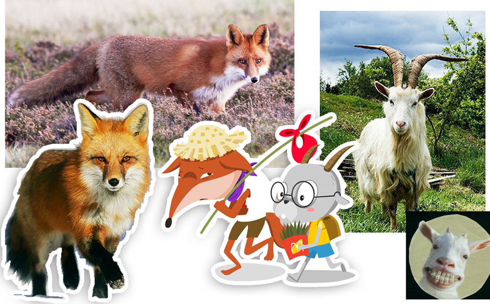 ͸Ժ: ͸Ժ: D:\work2014_033_OBEC\Scrip_STB_juizy\fox_character.jpg